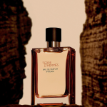 hermes-terre-dhermes-eau-de-parfum-intense-refillable-masculin-100ml-parfum-301897-2