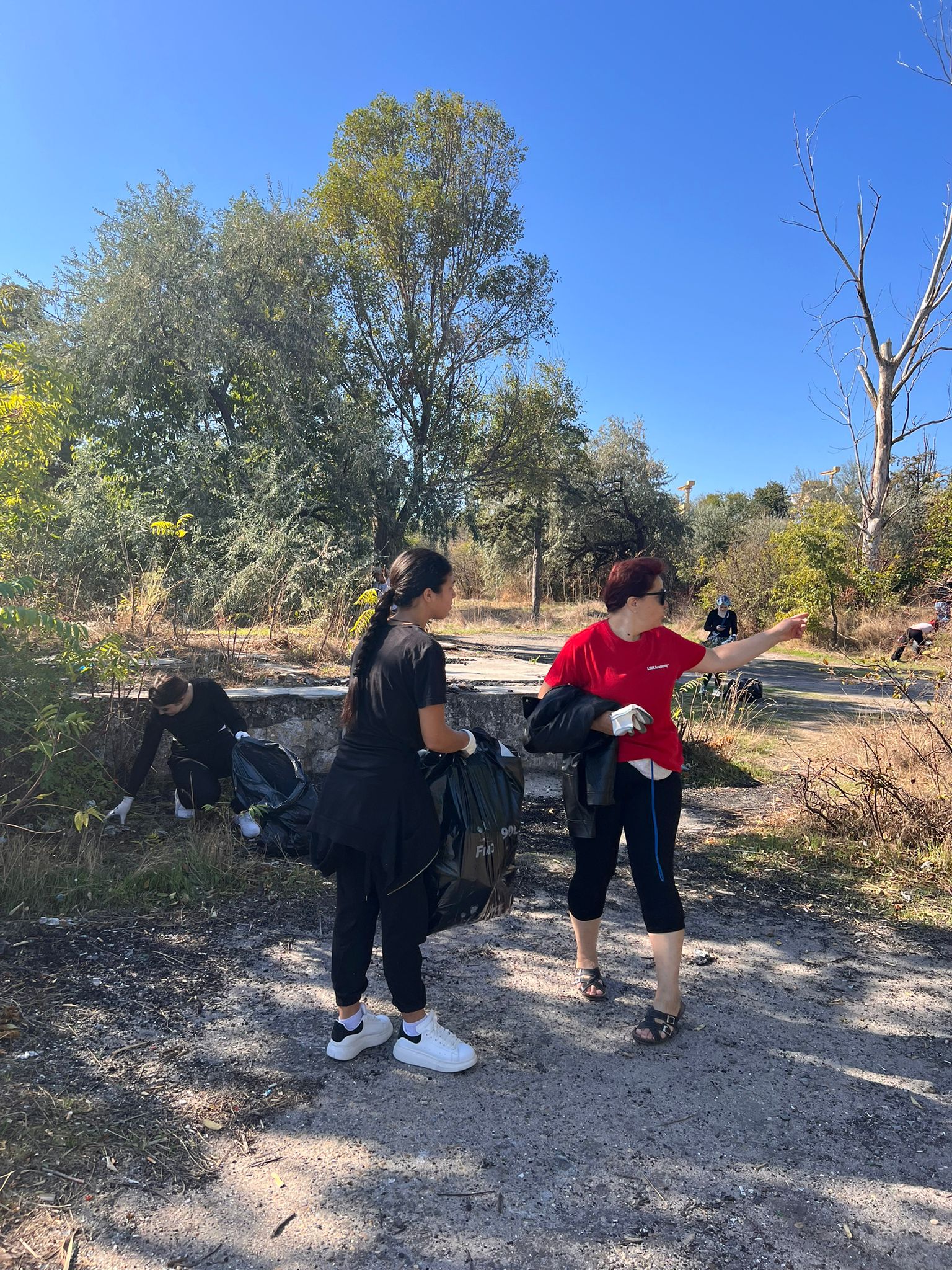 Popescu Cris – Recomandări